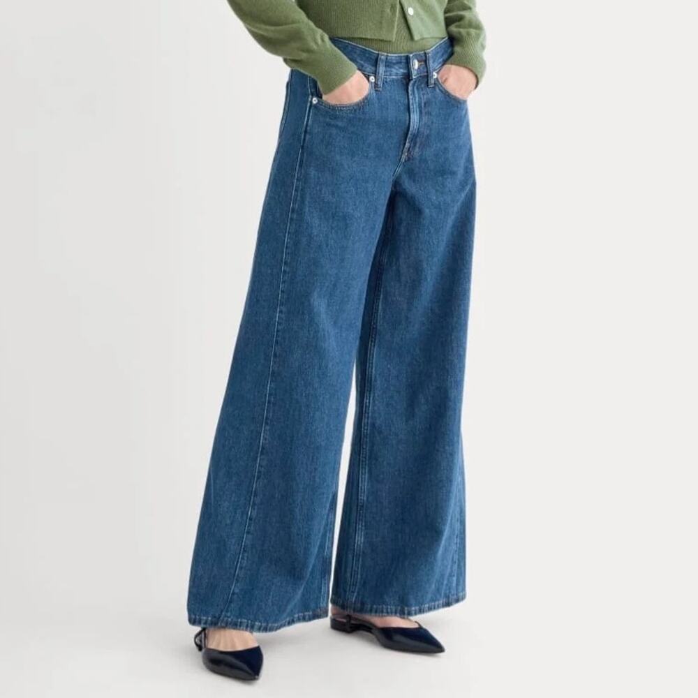 Everlane Paneled Wide Leg Jean Dark Wash Size 29 Regular NWT